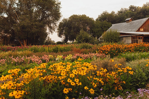 masoncreekflowerfarm-03.jpg